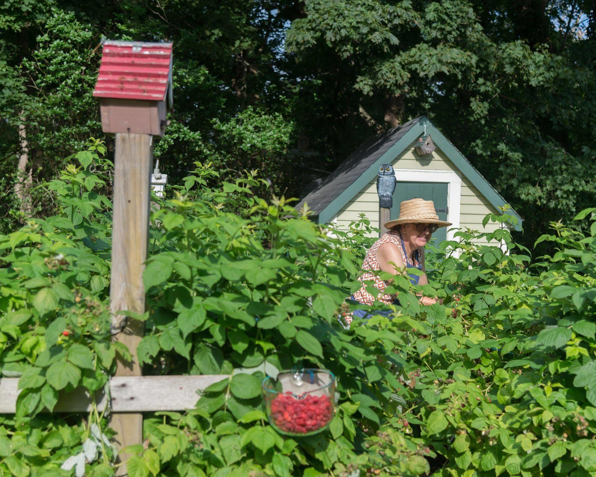 Captain Freeman Inn Brewster Bagian luar foto